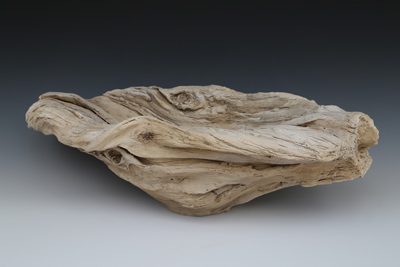 Elizabeth DeLyria - Water Worn Wood