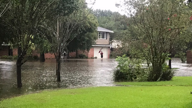 Harvey flooding image