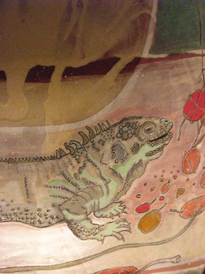 Iguana Detail